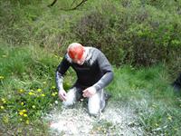 Cliquer pour agrandir