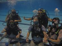 Click to see the group (B�pt�mes du 09/11/2007 (Part II))
