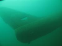 Click to see the group (La Gombe du 21/07/2009)