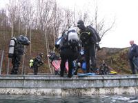 Click to see the group (La Gombe du 27/11/2011)