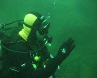 Cliquer pour agrandir