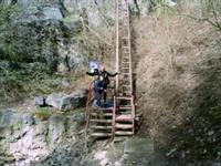 Cliquer pour agrandir
