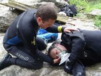 Cliquer pour agrandir