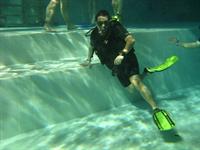 Click to see the group (Némo 33 du 02/02/2008 (Part II))