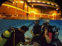 Click to see the group (Notre piscine Non classé)