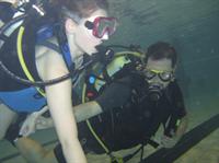 Cliquer pour agrandir