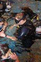 Click to see the group (Notre piscine du (17/02/2012))