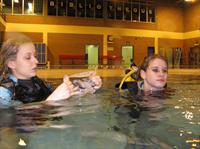 Click to see the group (Notre piscine du 20/02/2009)