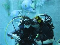 Click to see the group (Rheinbach (Piscine en allemagne) du 10/02/2011)
