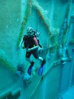 Click to see the group (Rheinbach (Piscine en allemagne) du 10/02/2011)