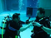 Click to see the group (Rheinbach (Piscine en allemagne) du 10/02/2011)