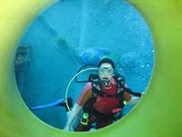 Cliquer pour agrandir