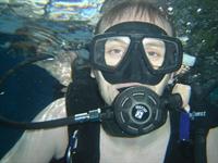 Cliquer pour agrandir